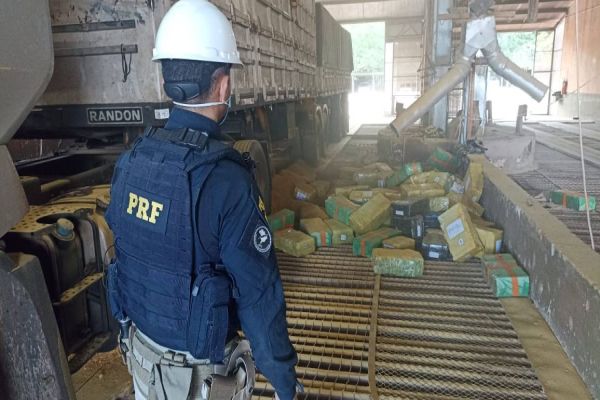 PRF apreende grande quantidade de maconha e agrotóxicos na região de Guaíra