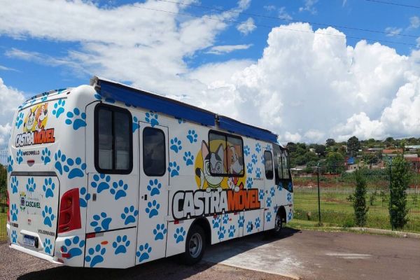 Castromóvel chega ao Reassentamento São Francisco e amplia acesso à castração gratuita na área rural de Cascavel