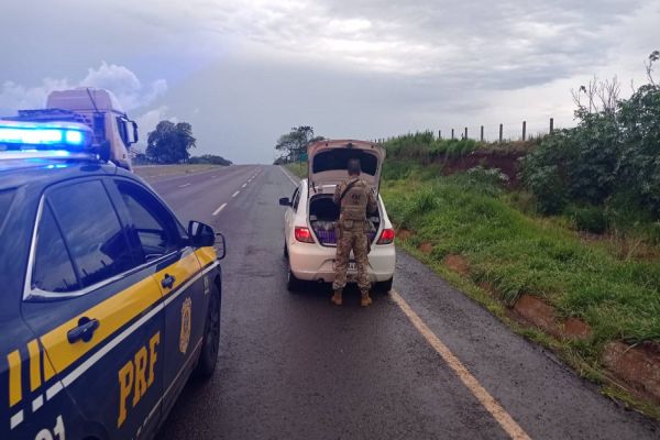 PRF apreende mais de 300kg de maconha em Santa Tereza D'oeste