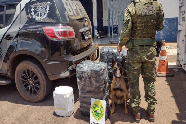 BPFRON apreende homem de 30 anos com 10 galões de agrotóxicos na rodoviária de Cascavel