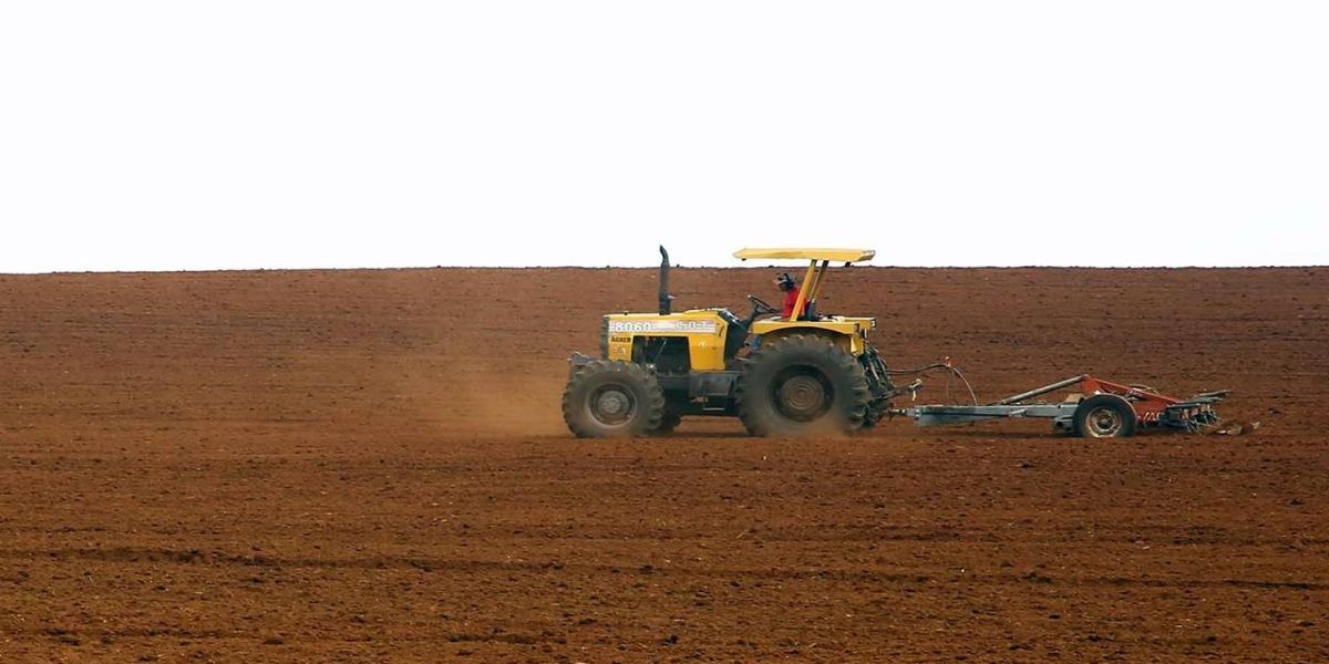 Paraná tem a melhor classificação do Brasil em potencialidade agrícola, segundo estudo do IBGE