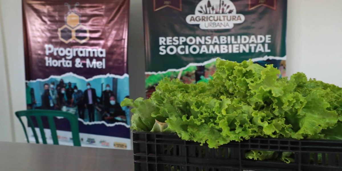 1ª Feira do Produtor Urbano será realizada no bairro Floresta