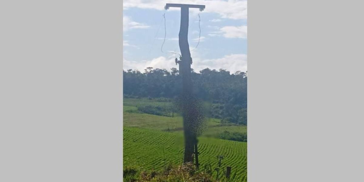 Homem morre após levar choque elétrico em Quedas do Iguaçu