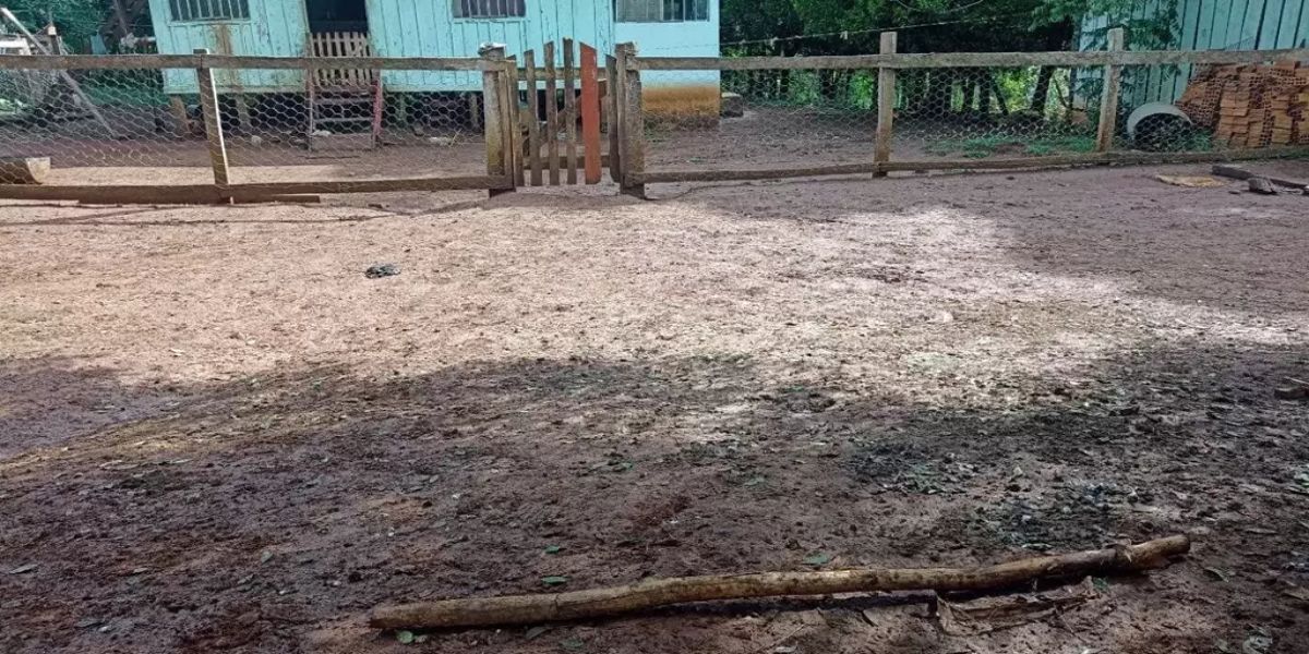 Sobrinho mata tio de 72 anos a pauladas na região central do Paraná