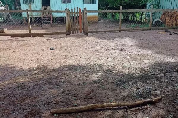 Sobrinho mata tio de 72 anos a pauladas na região central do Paraná