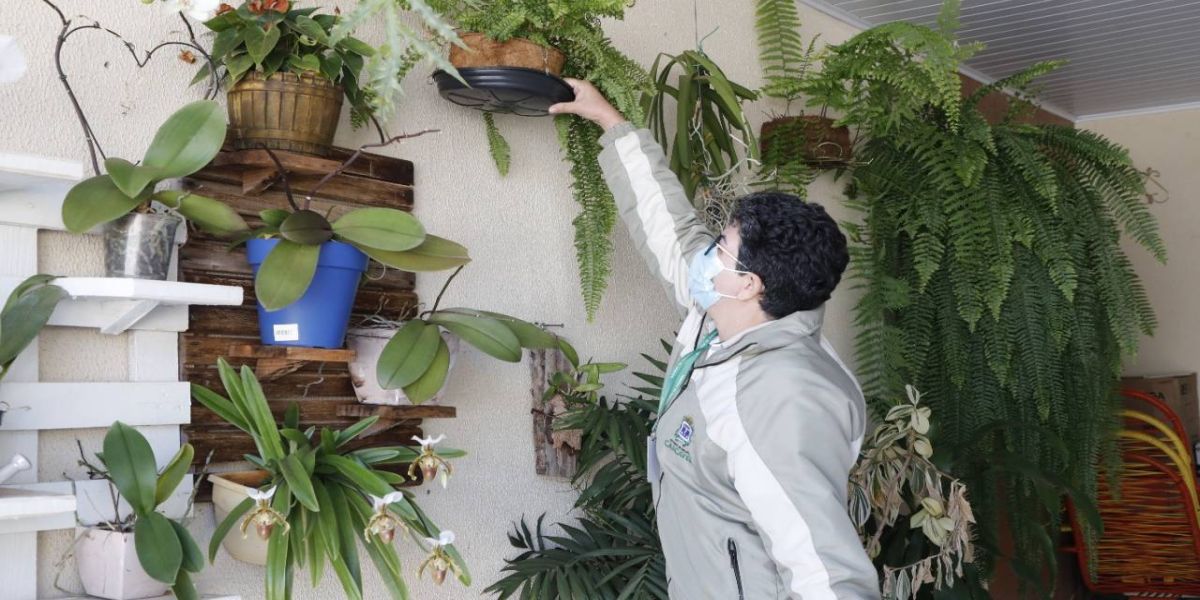 5 Dicas para você manter o combate à dengue mesmo nas férias