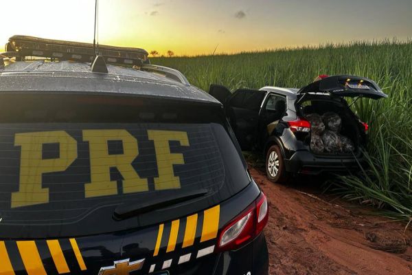 Imagem referente a notícia: Em seis horas, PRF apreende mais de 1,5 tonelada de maconha no Paraná
