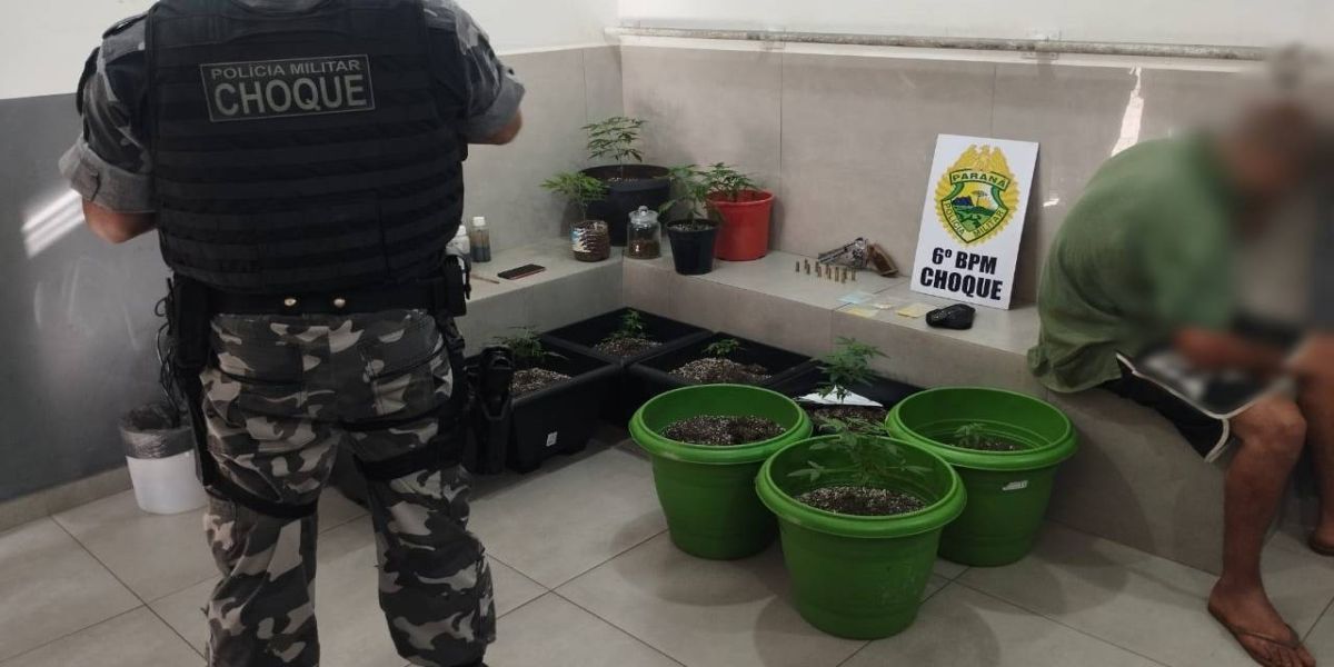 Jovem é detido com pés de maconha, arma de fogo e ecstasy no Bairro Morumbi