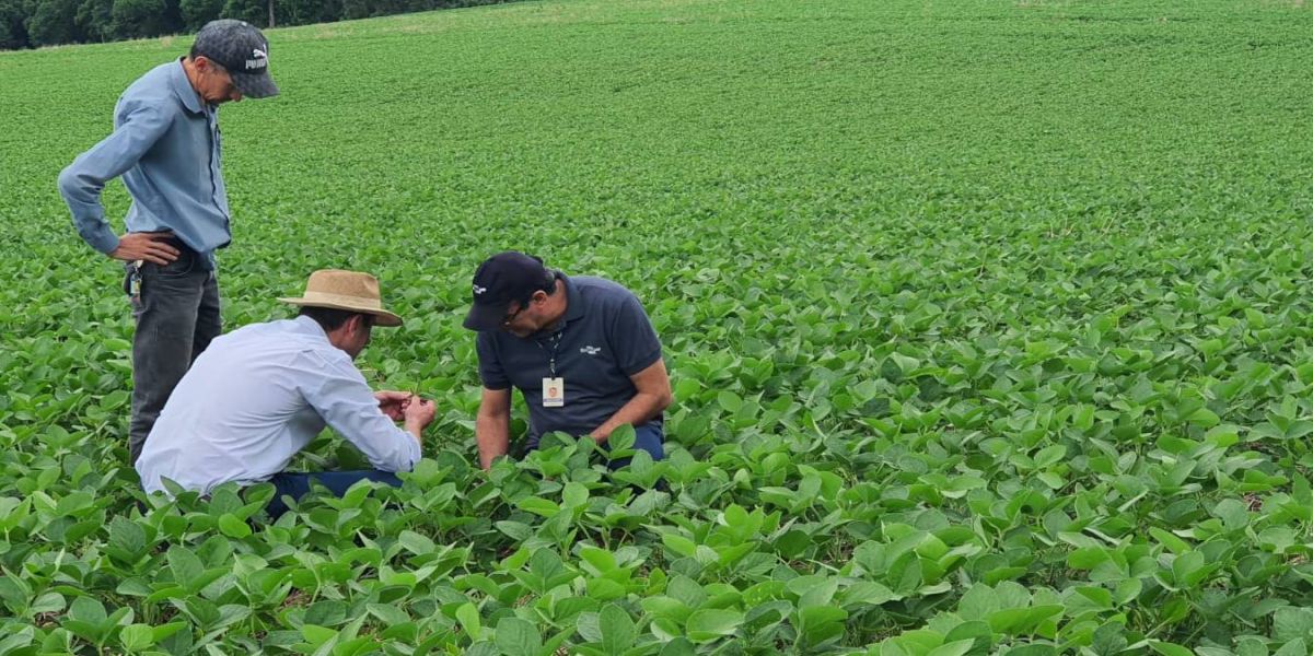 Giro Técnico da Soja divulga boas práticas de cultivo a mais de mil produtores no Estado