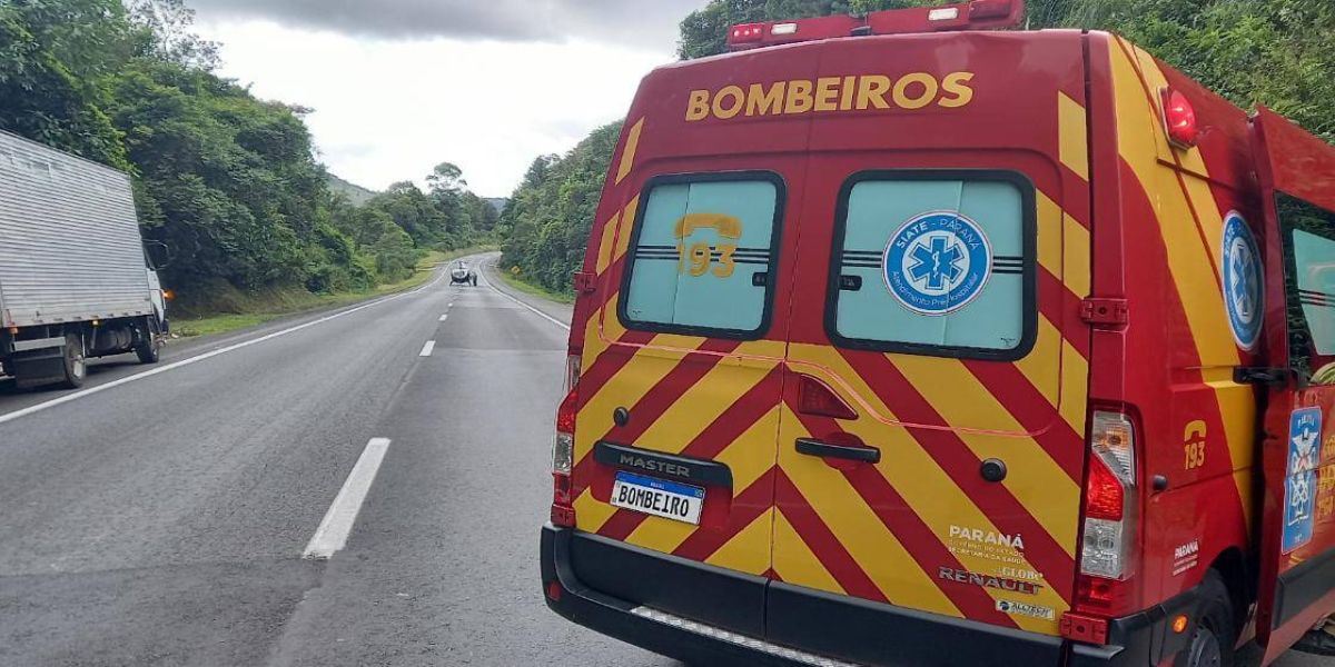 Homem tenta salvar cachorro e é atropelado por caminhão na BR-277