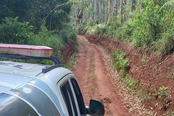 Ossada com R$2 mil reais em dinheiro é localizada em matagal de Campo Largo