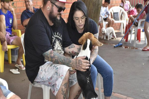 Em dois dias CastraPet realiza mais de 200 castrações em Toledo