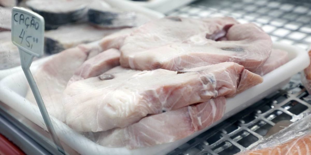 Identificação adequada do comércio de cação vira lei no Paraná