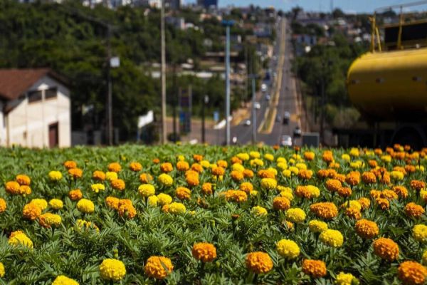 Flores encantam os espaços públicos de Toledo