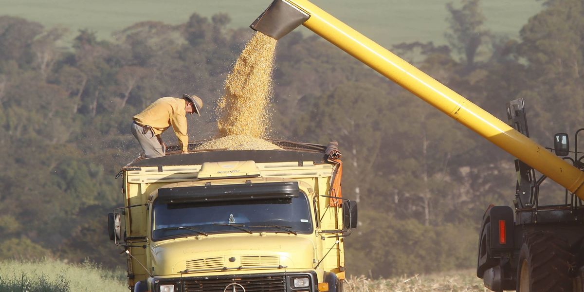 Agricultura divulga primeiras estimativas para a segunda safra 2022/2023 no Paraná