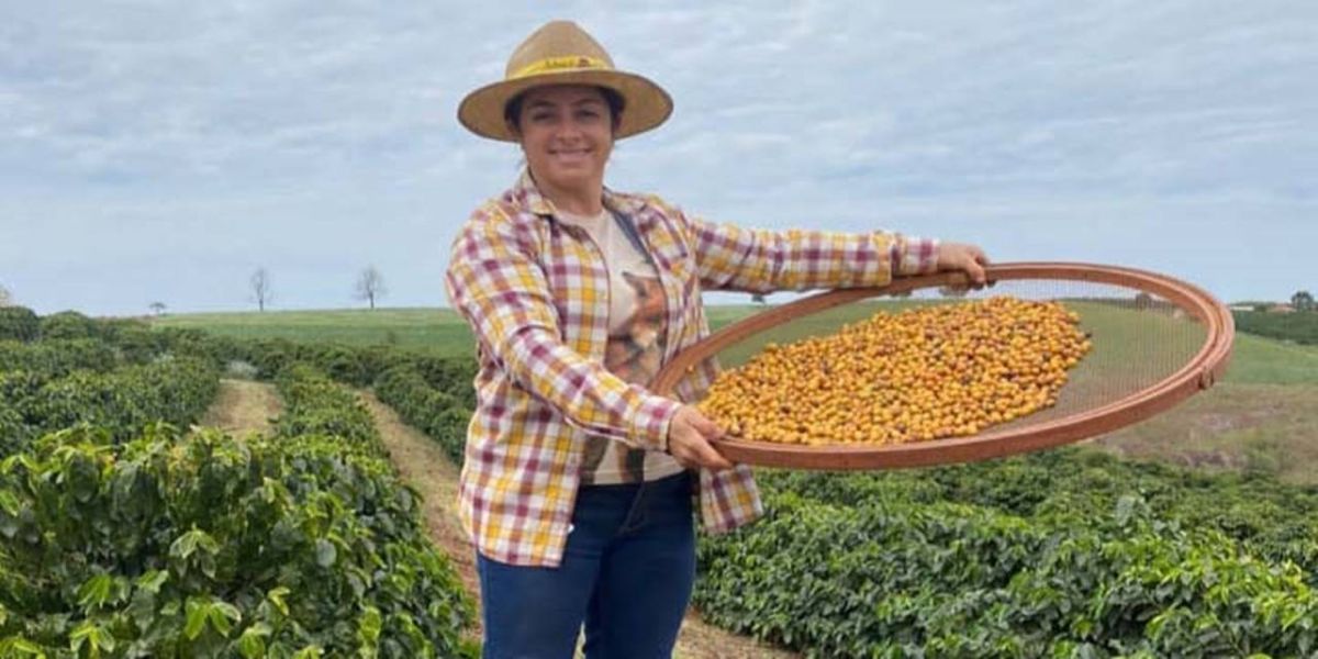 Após ano premiado, mulheres ajudam o Paraná a ser celeiro do café especial