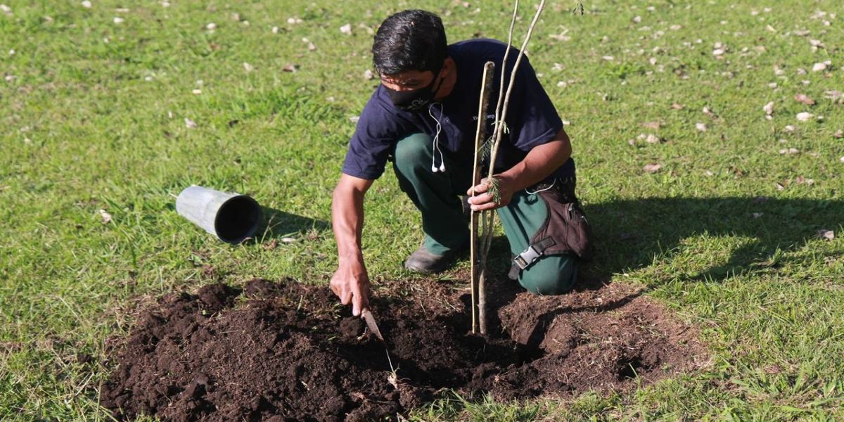 Boas práticas ambientais dão ao Paraná reconhecimento nacional em sustentabilidade