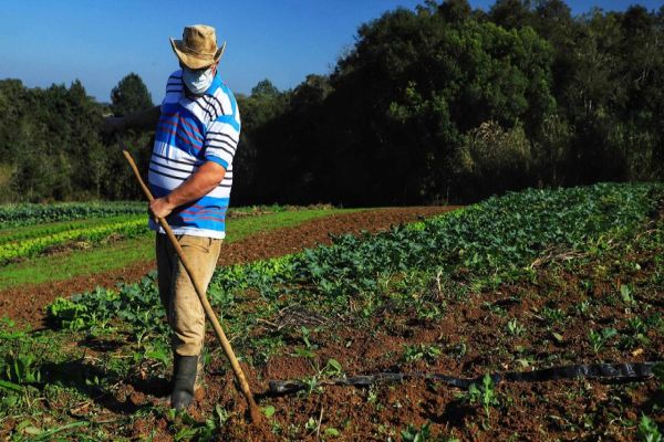 Reativado, programa de crédito fundiário viabiliza compra de terras no Paraná