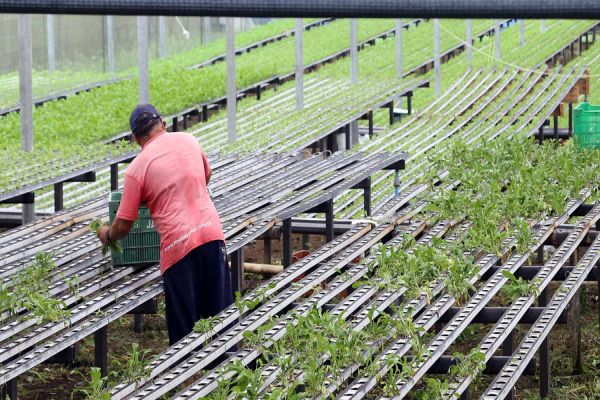 Programas do Governo do Estado liberam mais de R$ 67 milhões para agricultores familiares em 4 anos