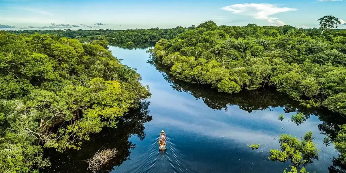BNDES e KfW firmam contrato de doação para aporte no Fundo Amazônia