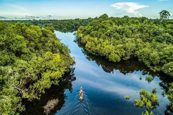 BNDES e KfW firmam contrato de doação para aporte no Fundo Amazônia