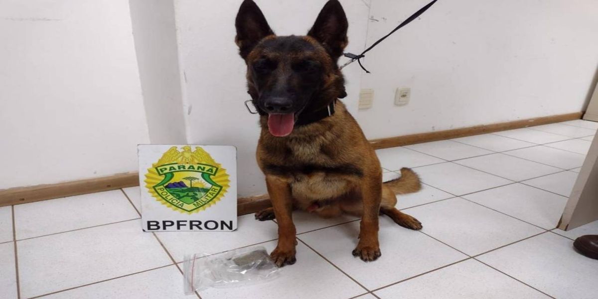 Jovem de 20 anos é detida pelo BPFron com maconha escondida na bagagem em Cascavel
