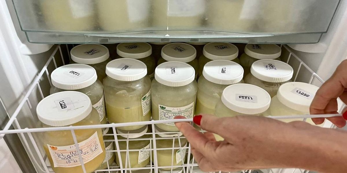 Banco de leite do HUOP mantém a média de 250 litros de leite por mês