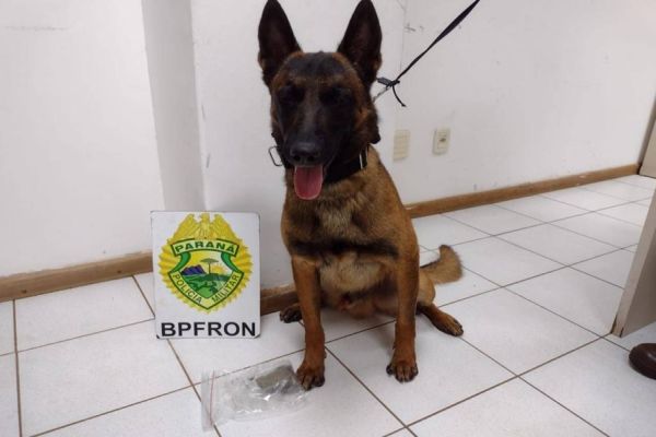 Jovem de 20 anos é detida pelo BPFron com maconha escondida na bagagem em Cascavel