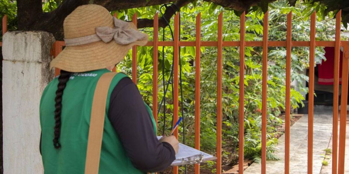 Primeiro LirAa do ano em Toledo aponta índice de infestação predial de 2,4%