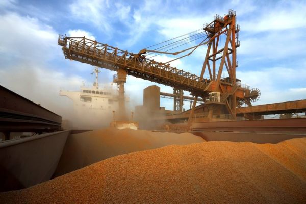 Crescimento de 40%: porto espera carregar 7 milhões de toneladas de grãos e farelos no 1º trimestre