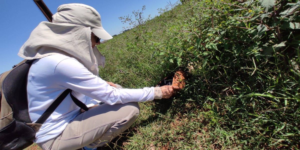Cascavel realiza o 1º ciclo do LiRAa de 2023 a partir de segunda-feira (16)