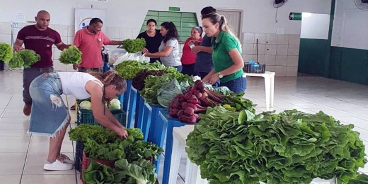 2ª edição da Feira do Produtor Urbano será realizada nesta sexta-feira (13) em Cascavel