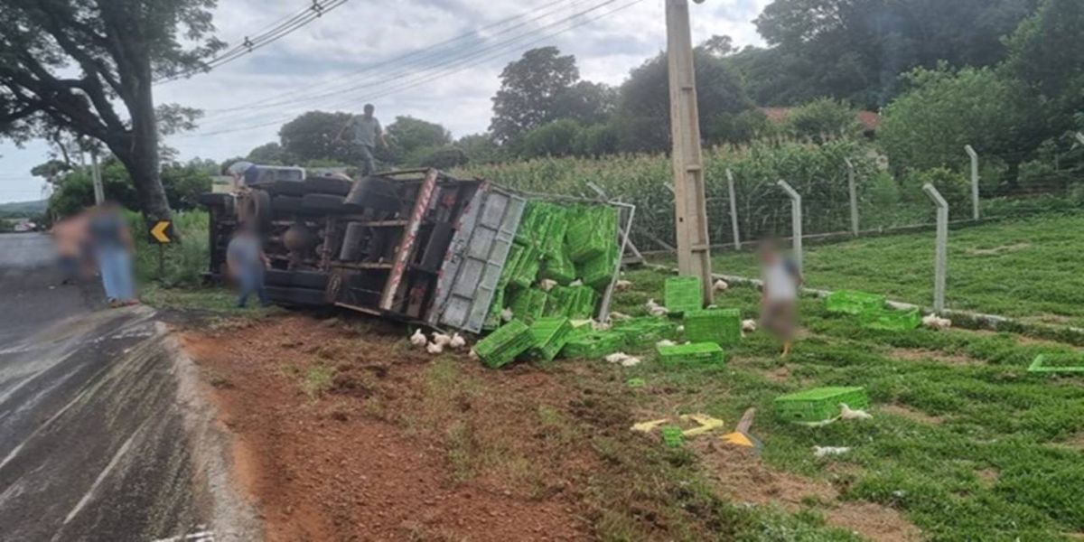 Caminhão carregado com frangos vivos tomba na PR-566