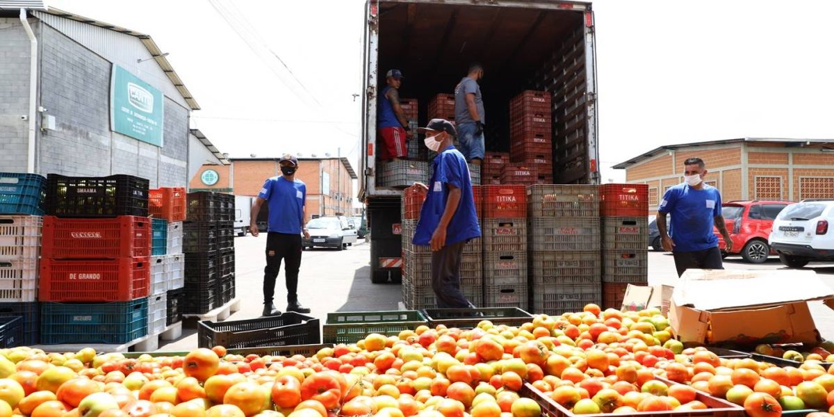 Banco de Alimentos Comida Boa distribuiu quase 6 mil toneladas de hortigranjeiros em 2022