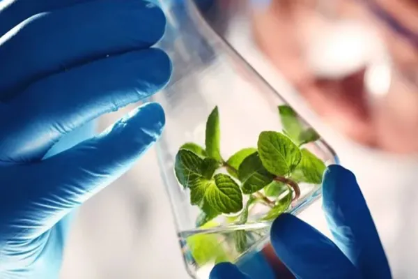 Foto relacionada a notícia: Quinze empresas mostram benefícios dos bioinsumos no Show Rural 2023