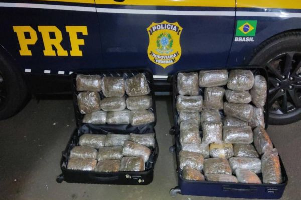 PRF apreende 23 quilos de Skunk, na BR-277 em Guarapuava; A droga saiu de Cascavel e ia até SP