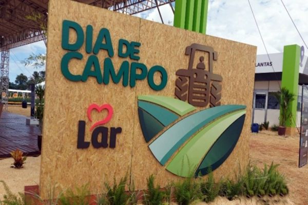 Imagem referente a notícia: Dia de Campo Lar propõe aproximar e conectar cooperados