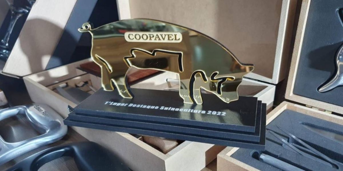Coopavel vai premiar no Show Rural melhores criadores de suínos de 2022