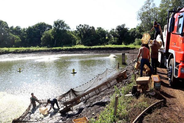 Com aumento em todas as faixas, Salário Mínimo Regional do Paraná será o maior do País