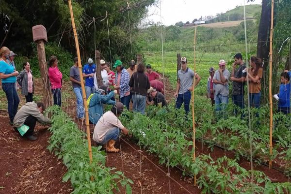 Para incentivar a produção agroecológica, IDR-Paraná investe na capacitação de produtores