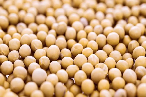 Apasem lança campanha que alerta sobre o risco das sementes piratas