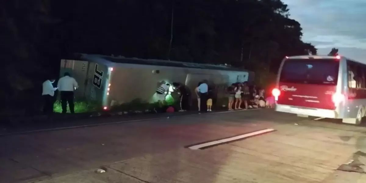 Ônibus tomba e deixa ao menos 20 feridos na Serra de Petrópolis