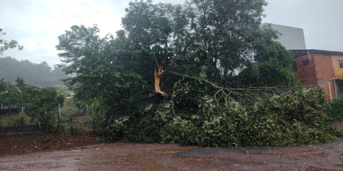 Ventos fortes e mais de 90mm de chuva em pouco mais de duas horas causaram transtornos no sudoeste