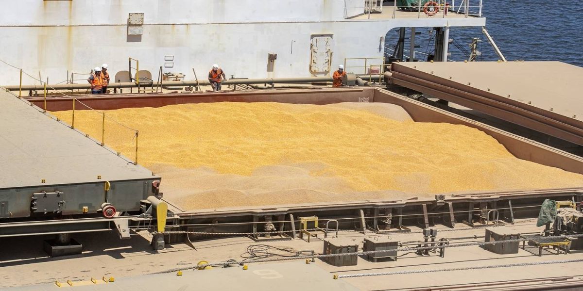 Volume de milho embarcado em janeiro em Paranaguá é 161% superior ao mesmo mês de 2022
