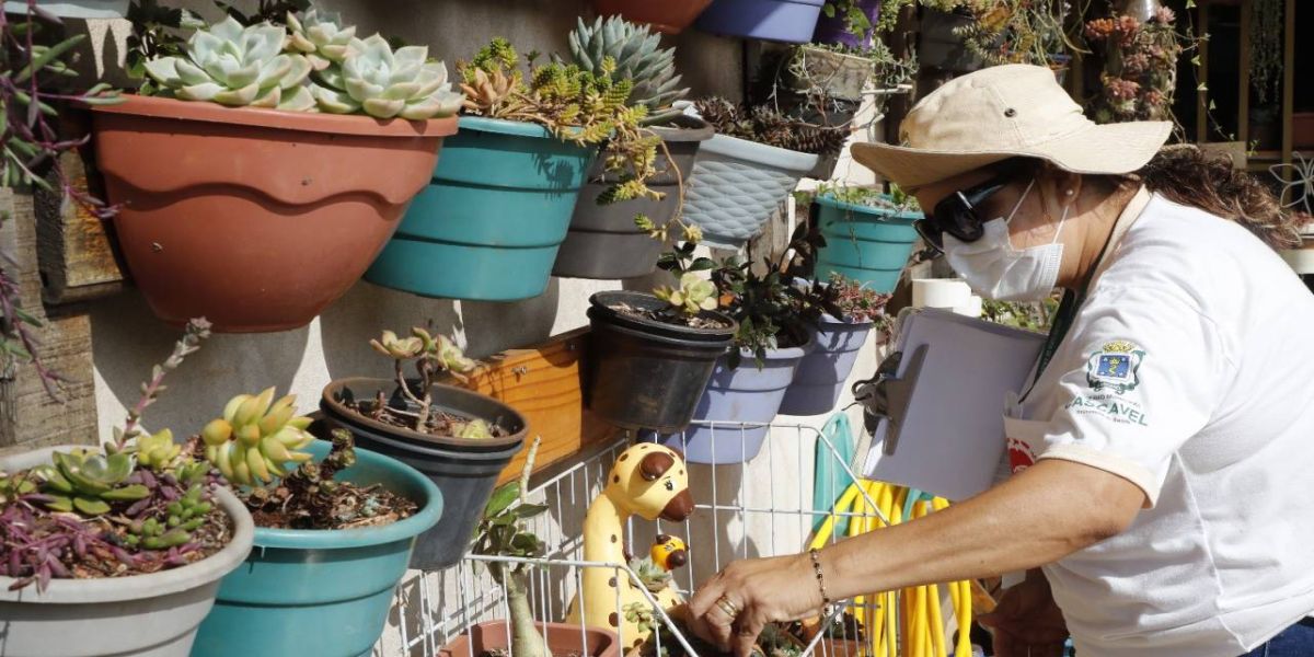 Sem trégua para a dengue, agentes de Endemias fazem ação de combate ao mosquito em Cascavel