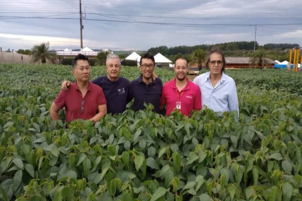 Diretores de empresa japonesa visitam área do Show Rural Coopavel