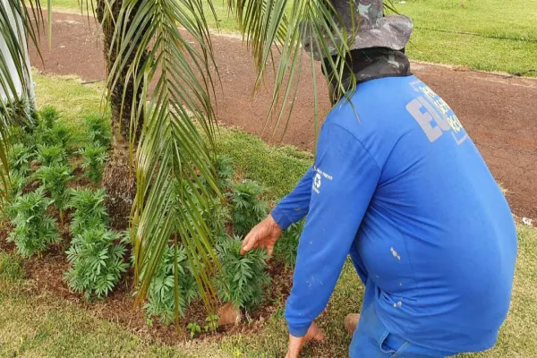 Foto relacionada a notícia: Custodiados de Cascavel trabalham na preparação do 35° Show Rural