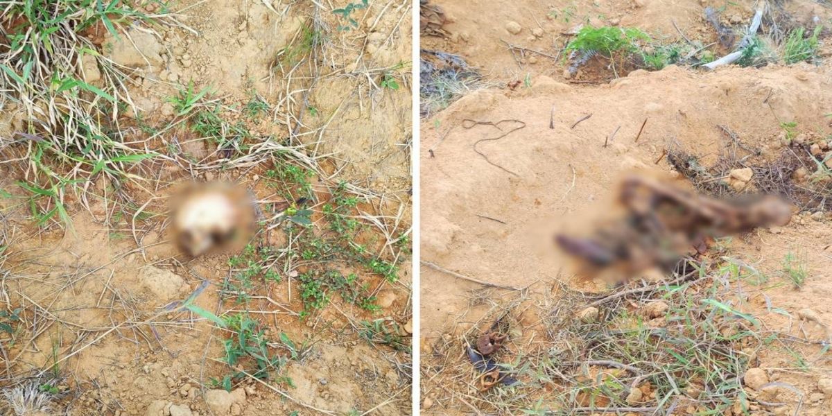 Polícia Civil investiga ossada humana encontrada na área rural de Sengés nos campos gerais do Paraná