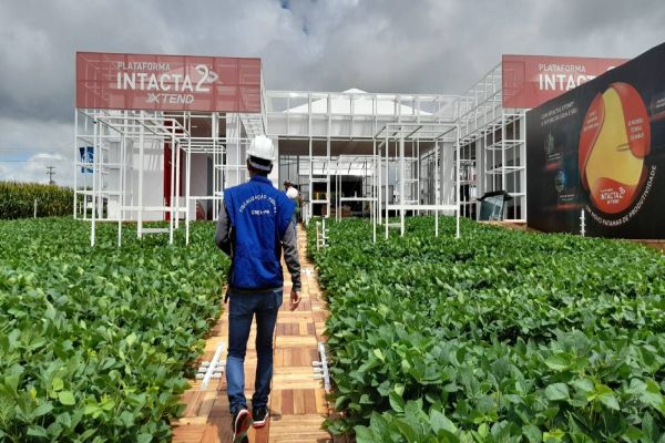 Fiscalização: Mais de 90% dos estandes do Show Rural estão com documentação em dia