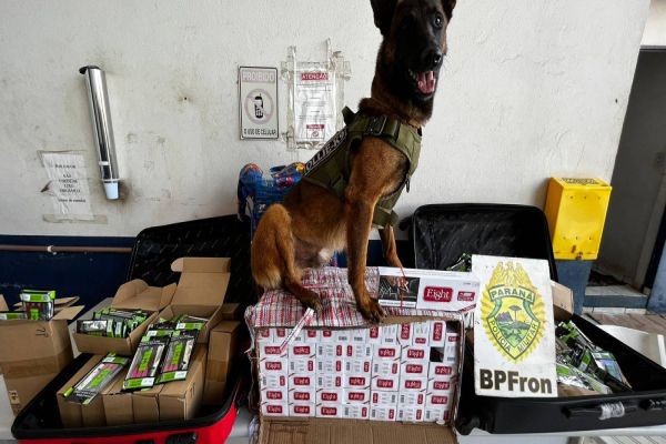 Homem é detido pelo BPFron com pacotes de cigarros de origem estrangeira em Cascavel
